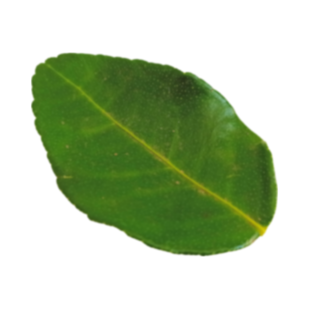 element-2